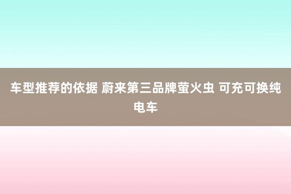 车型推荐的依据 蔚来第三品牌萤火虫 可充可换纯电车