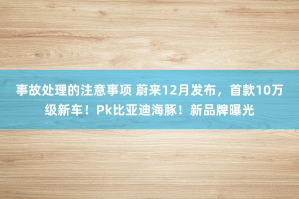 事故处理的注意事项 蔚来12月发布，首款10万级新车！Pk比亚迪海豚！新品牌曝光