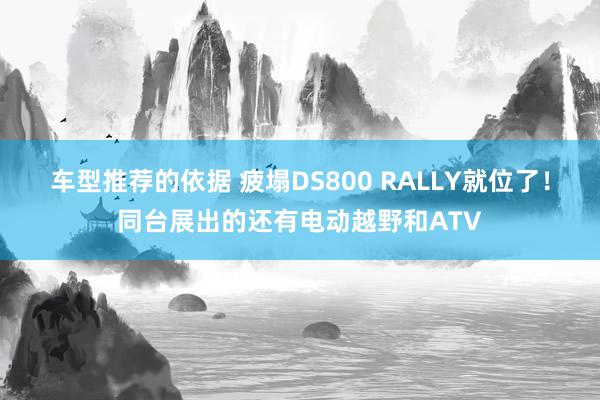 车型推荐的依据 疲塌DS800 RALLY就位了！同台展出的还有电动越野和ATV