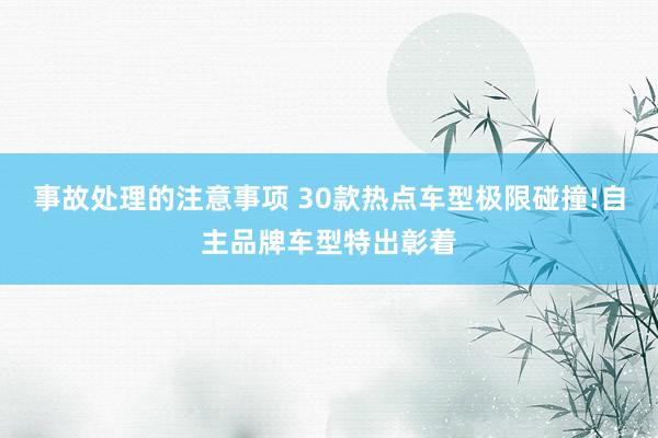 事故处理的注意事项 30款热点车型极限碰撞!自主品牌车型特出彰着