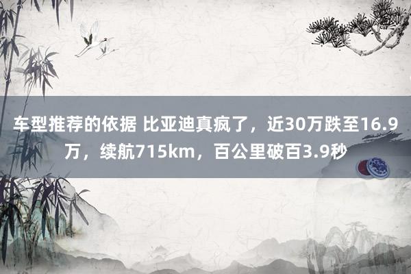 车型推荐的依据 比亚迪真疯了，近30万跌至16.9万，续航715km，百公里破百3.9秒