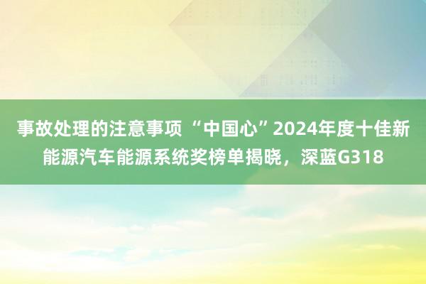 事故处理的注意事项 “中国心”2024年度十佳新能源汽车能源系统奖榜单揭晓，深蓝G318