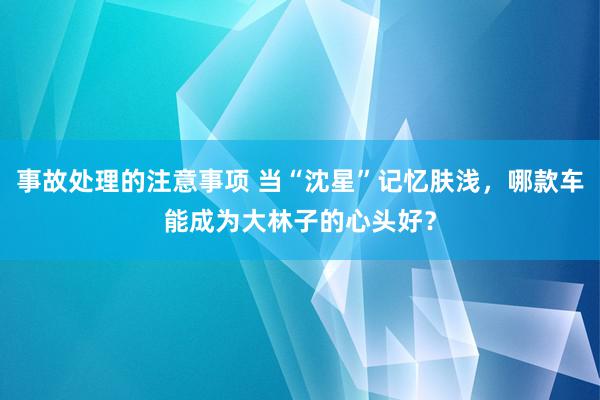 事故处理的注意事项 当“沈星”记忆肤浅，哪款车能成为大林子的心头好？