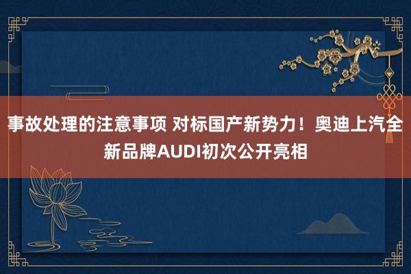 事故处理的注意事项 对标国产新势力！奥迪上汽全新品牌AUDI初次公开亮相