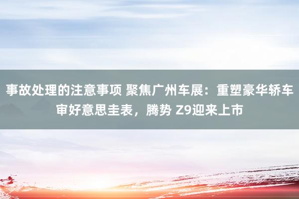 事故处理的注意事项 聚焦广州车展：重塑豪华轿车审好意思圭表，腾势 Z9迎来上市