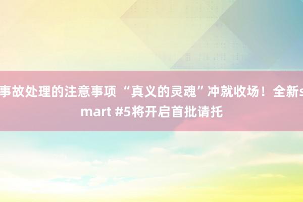 事故处理的注意事项 “真义的灵魂”冲就收场！全新smart #5将开启首批请托