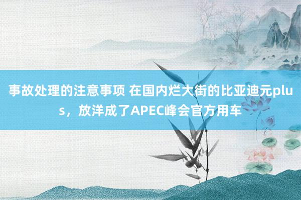 事故处理的注意事项 在国内烂大街的比亚迪元plus，放洋成了APEC峰会官方用车