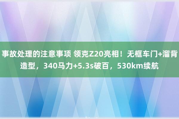 事故处理的注意事项 领克Z20亮相！无框车门+溜背造型，340马力+5.3s破百，530km续航