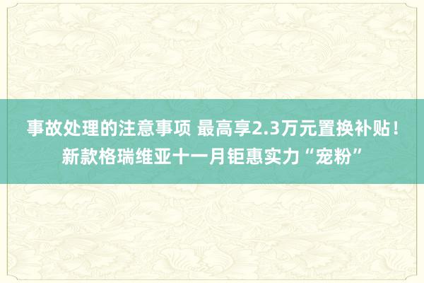 事故处理的注意事项 最高享2.3万元置换补贴！新款格瑞维亚十一月钜惠实力“宠粉”