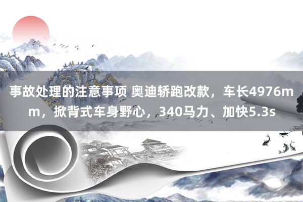 事故处理的注意事项 奥迪轿跑改款，车长4976mm，掀背式车身野心，340马力、加快5.3s