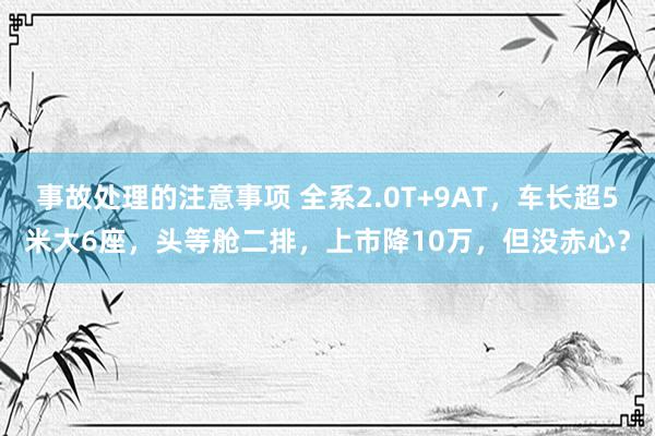 事故处理的注意事项 全系2.0T+9AT，车长超5米大6座，头等舱二排，上市降10万，但没赤心？