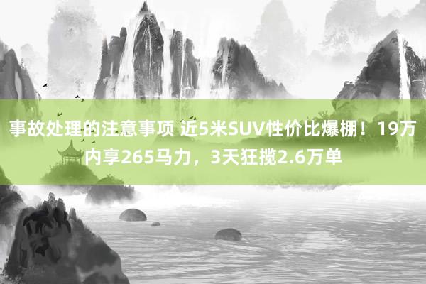 事故处理的注意事项 近5米SUV性价比爆棚！19万内享265马力，3天狂揽2.6万单