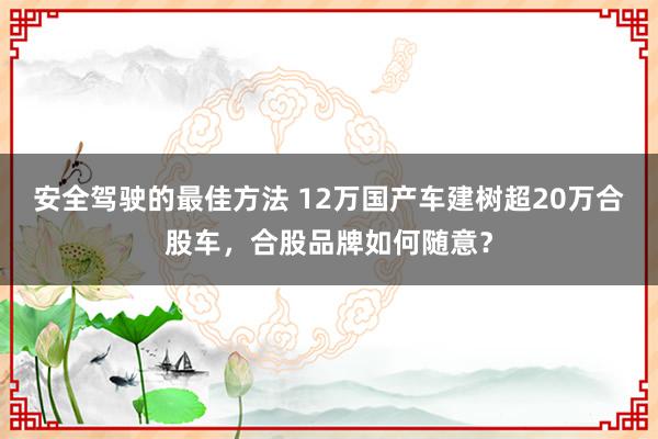 安全驾驶的最佳方法 12万国产车建树超20万合股车，合股品牌如何随意？