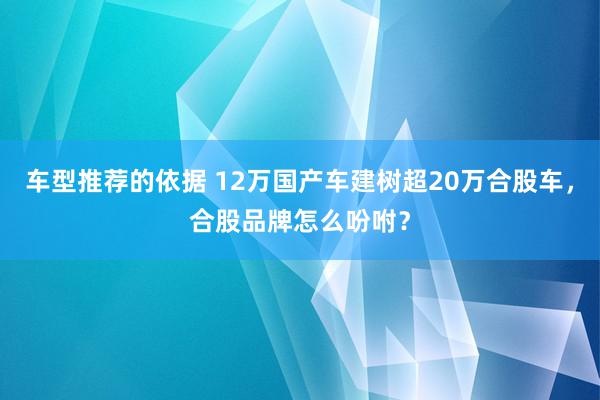 车型推荐的依据 12万国产车建树超20万合股车，合股品牌怎么吩咐？