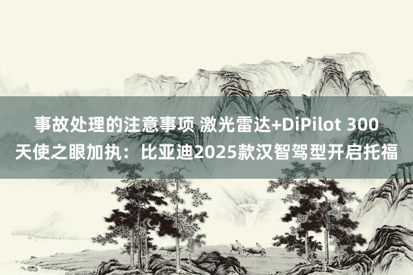 事故处理的注意事项 激光雷达+DiPilot 300天使之眼加执：比亚迪2025款汉智驾型开启托福