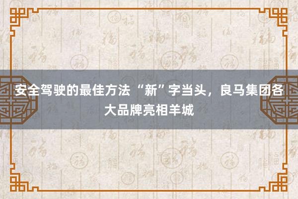 安全驾驶的最佳方法 “新”字当头，良马集团各大品牌亮相羊城