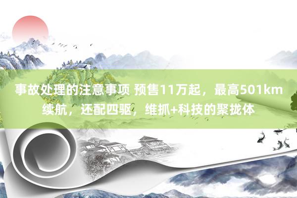 事故处理的注意事项 预售11万起，最高501km续航，还配四驱，维抓+科技的聚拢体