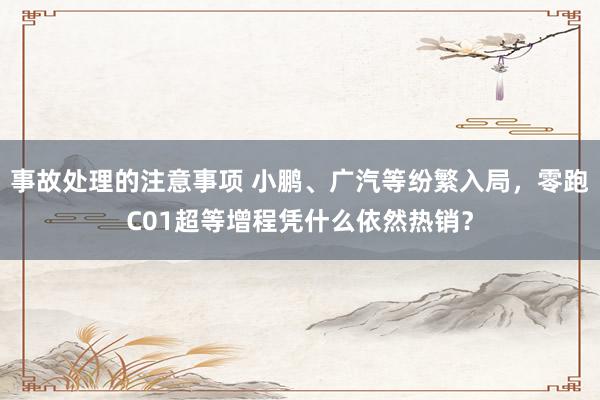 事故处理的注意事项 小鹏、广汽等纷繁入局，零跑C01超等增程凭什么依然热销？