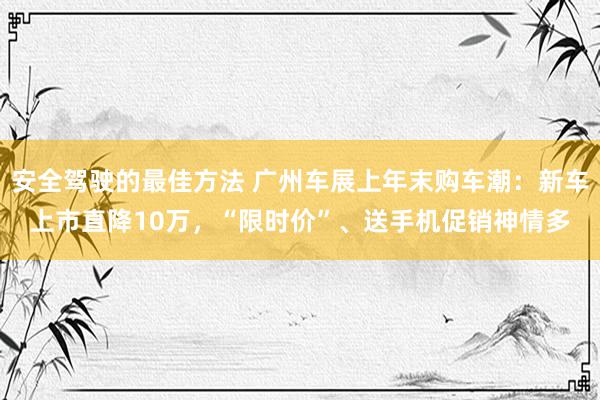 安全驾驶的最佳方法 广州车展上年末购车潮：新车上市直降10万，“限时价”、送手机促销神情多