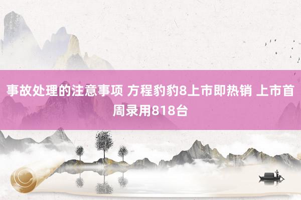 事故处理的注意事项 方程豹豹8上市即热销 上市首周录用818台