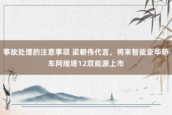 事故处理的注意事项 梁朝伟代言，将来智能豪华轿车阿维塔12双能源上市