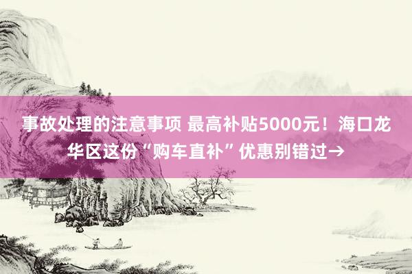 事故处理的注意事项 最高补贴5000元！海口龙华区这份“购车直补”优惠别错过→