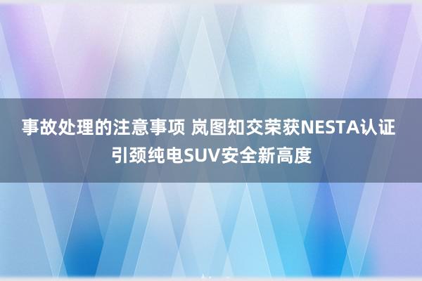 事故处理的注意事项 岚图知交荣获NESTA认证 引颈纯电SUV安全新高度