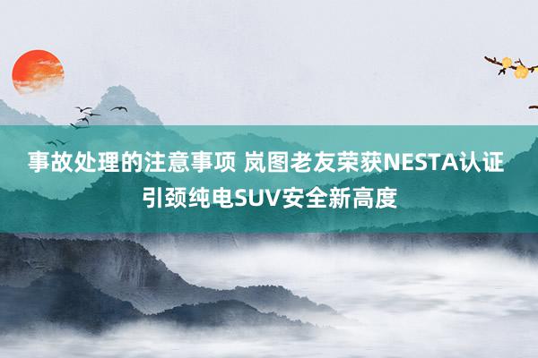 事故处理的注意事项 岚图老友荣获NESTA认证 引颈纯电SUV安全新高度