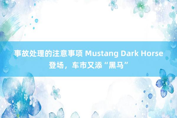 事故处理的注意事项 Mustang Dark Horse登场，车市又添“黑马”