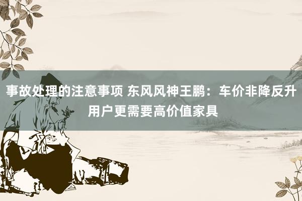 事故处理的注意事项 东风风神王鹏：车价非降反升 用户更需要高价值家具