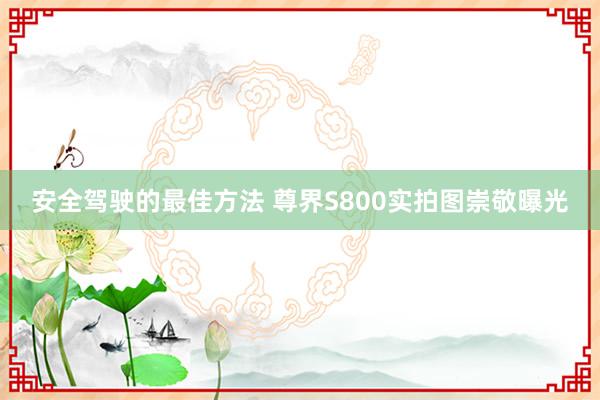 安全驾驶的最佳方法 尊界S800实拍图崇敬曝光