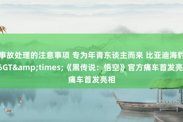 事故处理的注意事项 专为年青东谈主而来 比亚迪海豹06GT&times;《黑传说：悟空》官方痛车首发亮相