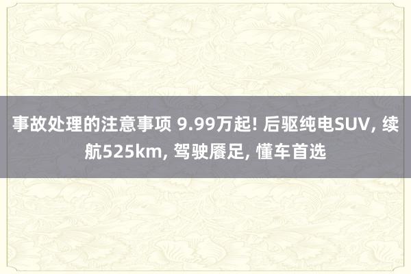 事故处理的注意事项 9.99万起! 后驱纯电SUV, 续航525km, 驾驶餍足, 懂车首选