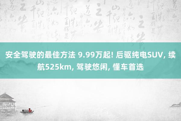 安全驾驶的最佳方法 9.99万起! 后驱纯电SUV, 续航525km, 驾驶悠闲, 懂车首选