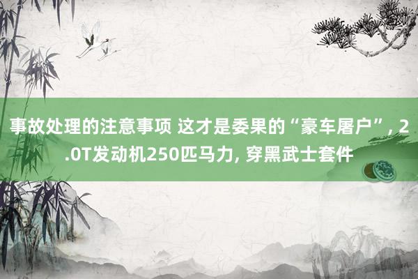 事故处理的注意事项 这才是委果的“豪车屠户”, 2.0T发动机250匹马力, 穿黑武士套件