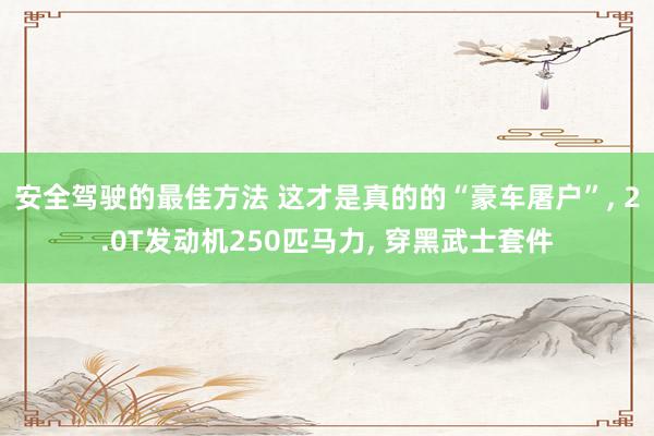 安全驾驶的最佳方法 这才是真的的“豪车屠户”, 2.0T发动机250匹马力, 穿黑武士套件