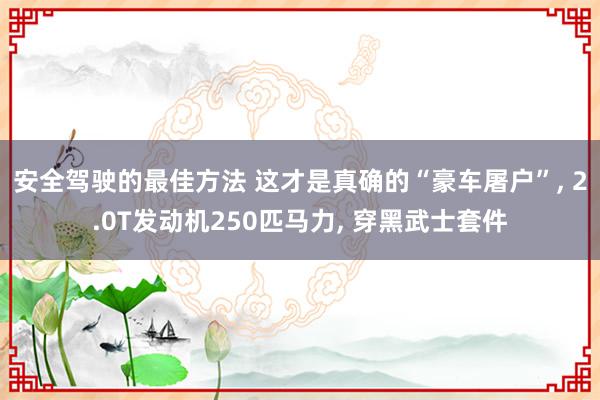 安全驾驶的最佳方法 这才是真确的“豪车屠户”, 2.0T发动机250匹马力, 穿黑武士套件