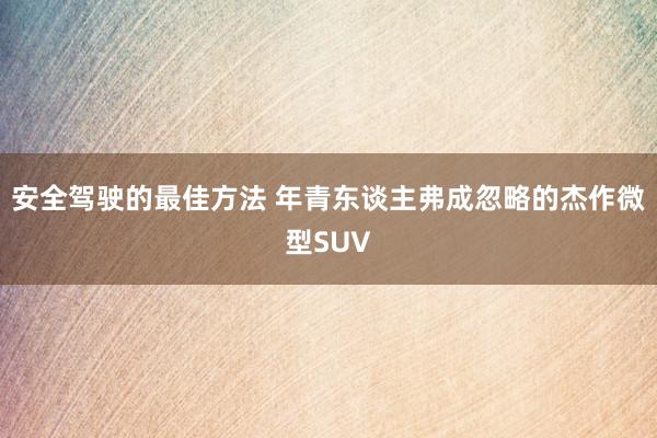 安全驾驶的最佳方法 年青东谈主弗成忽略的杰作微型SUV