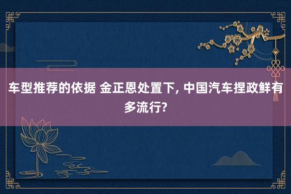 车型推荐的依据 金正恩处置下, 中国汽车捏政鲜有多流行?