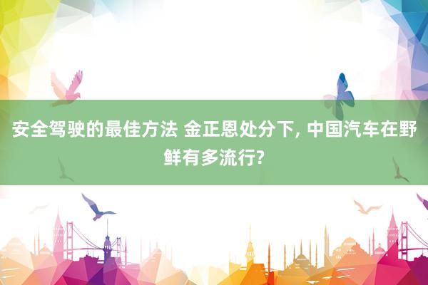 安全驾驶的最佳方法 金正恩处分下, 中国汽车在野鲜有多流行?