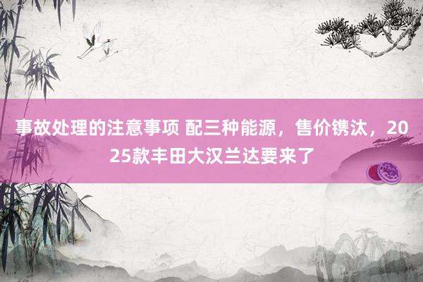 事故处理的注意事项 配三种能源，售价镌汰，2025款丰田大汉兰达要来了