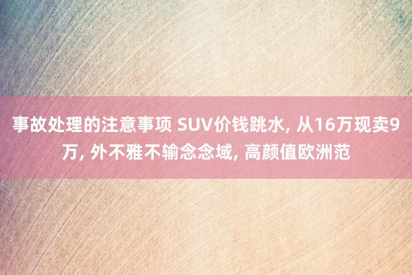 事故处理的注意事项 SUV价钱跳水, 从16万现卖9万, 外不雅不输念念域, 高颜值欧洲范