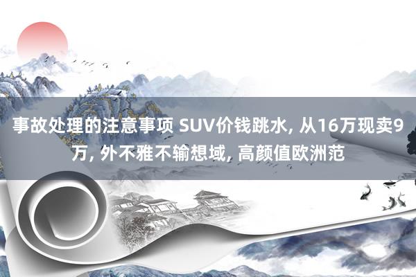 事故处理的注意事项 SUV价钱跳水, 从16万现卖9万, 外不雅不输想域, 高颜值欧洲范