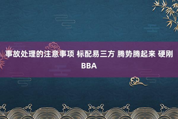 事故处理的注意事项 标配易三方 腾势腾起来 硬刚BBA