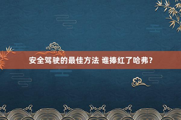 安全驾驶的最佳方法 谁捧红了哈弗？