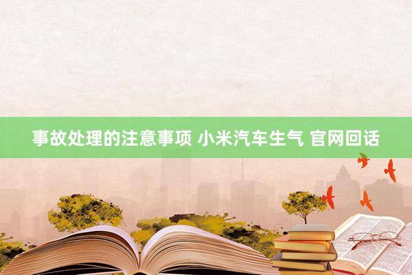 事故处理的注意事项 小米汽车生气 官网回话