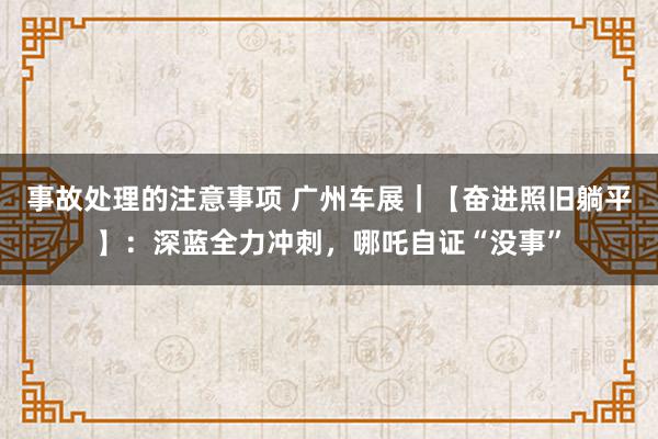 事故处理的注意事项 广州车展｜【奋进照旧躺平】：深蓝全力冲刺，哪吒自证“没事”